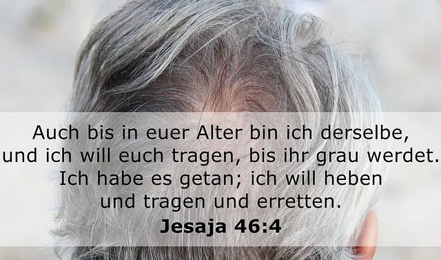 jesaja 46:4